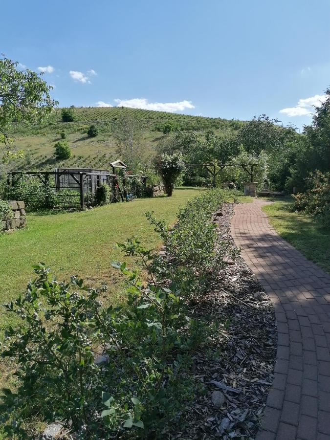 Monteurunterkunft Maria Freital Buitenkant foto